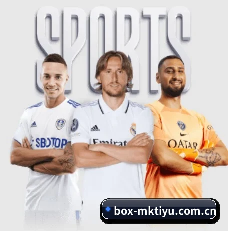 mk体育登录入口 APP
